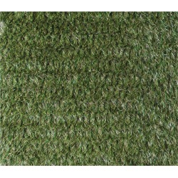 Hybrid turfgrass 1x10m